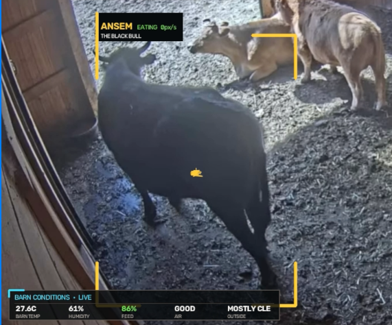 BULLSCOPE analysis frame 1
