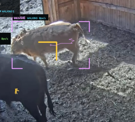 BULLSCOPE analysis frame 2